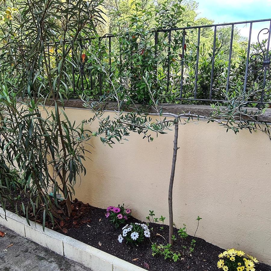 הוילה Tiurana Casa Mon מראה חיצוני תמונה